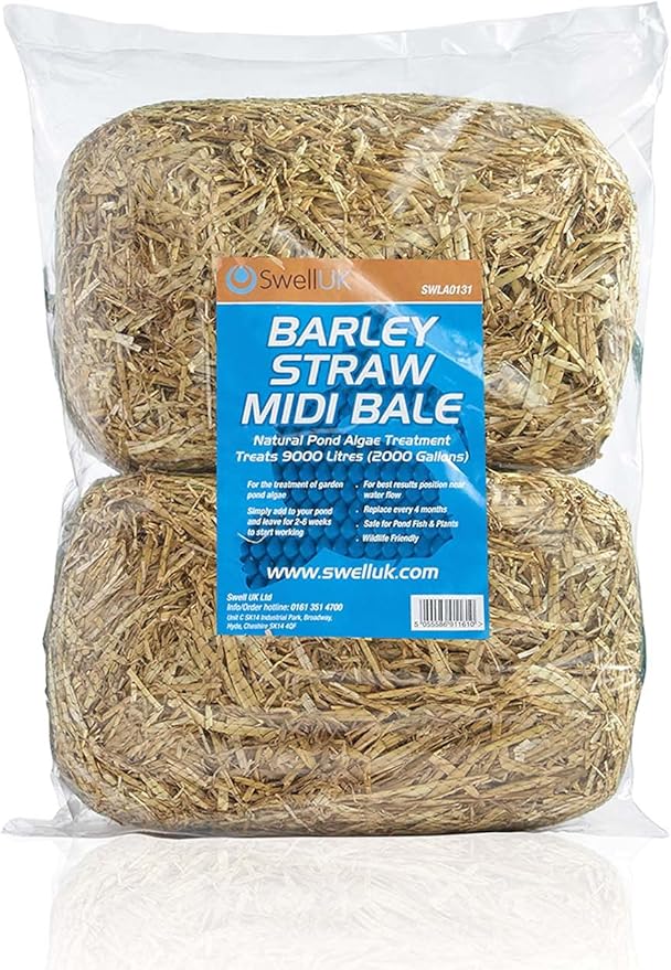 Swell Barley Straw Midi 2 pack. Barley Straw for Ponds to act as Pond