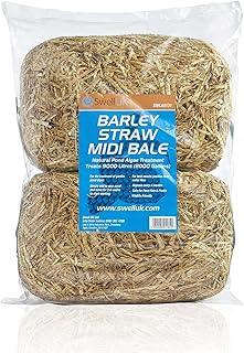 Swell Barley Straw Midi 2 pack. Barley Straw for Ponds to act as Pond Cleaner and Algae Treatment
