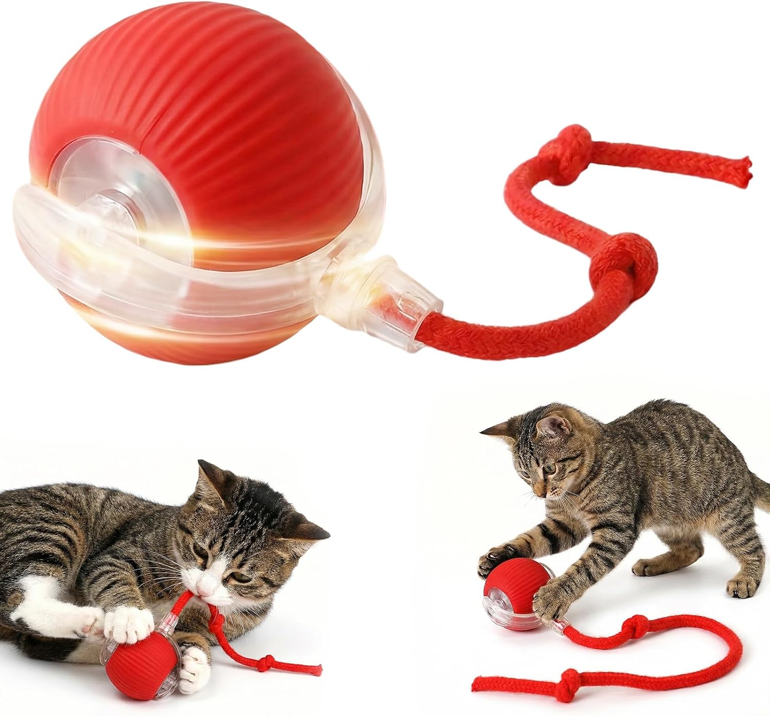 Pelota interactiva eléctrica recargable para gatos y perros miniatura 1