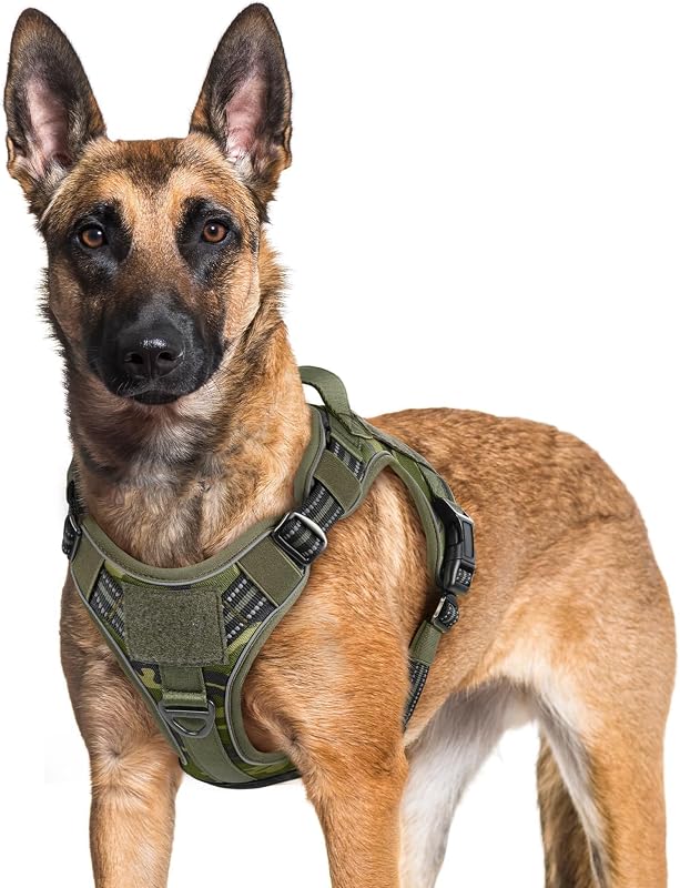 Peitoral Vest Tático para Cães Grandes rabbitgoo com Ajuste Regulável e Sistema MOLLE