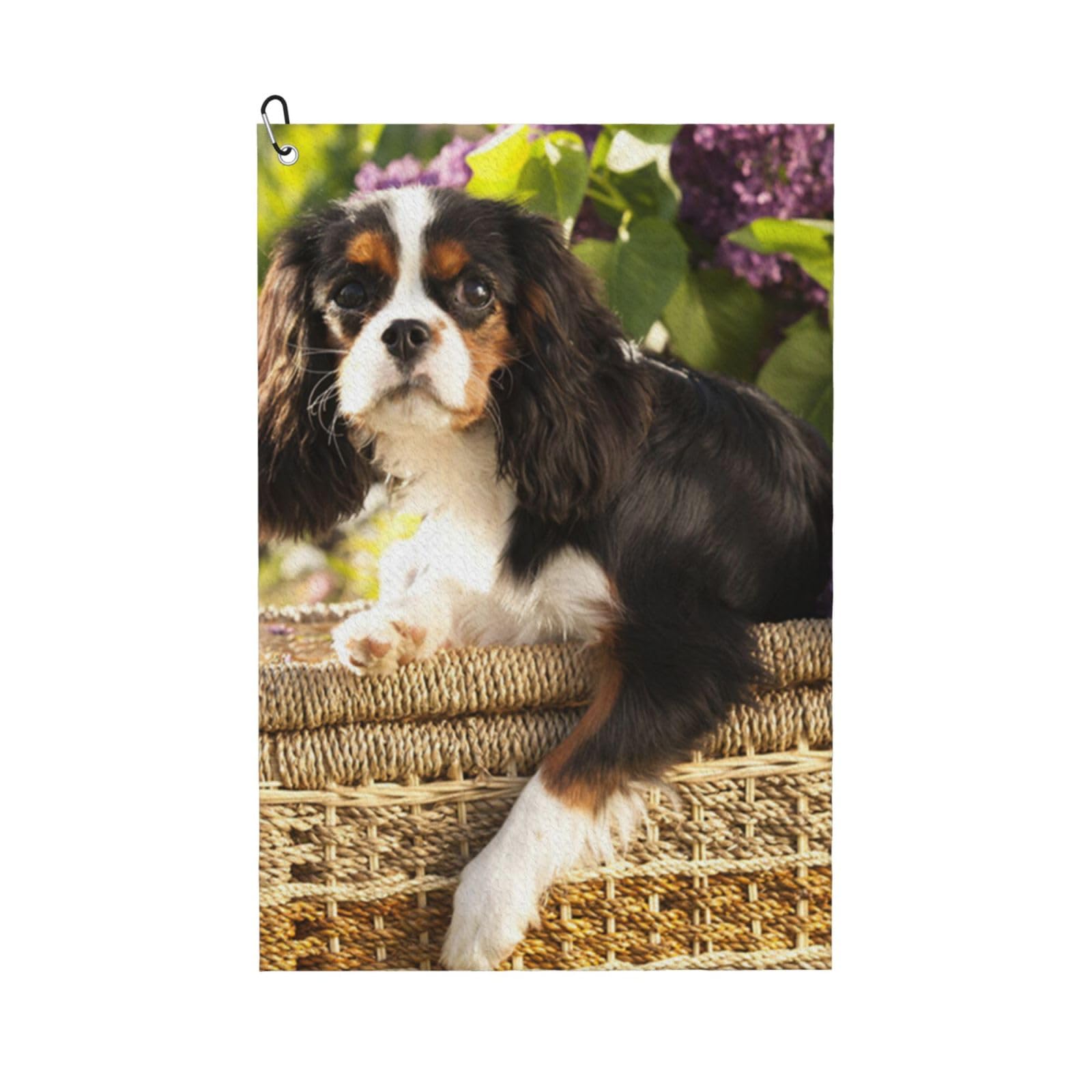 Hnnkloy Cavalier King Charles Spaniel, 16x24 in Portable Waffle Golf Towels with Carabiner Clip for Golf Bag