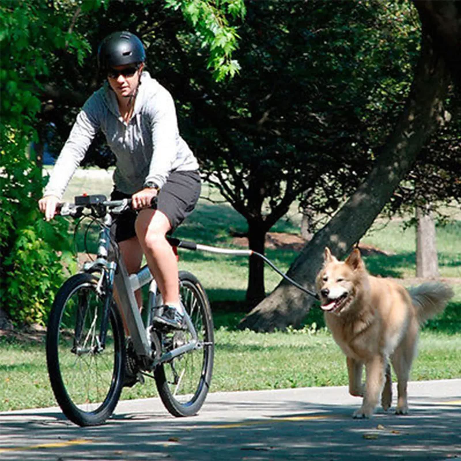 Laisse De Marche pour Vélo, Laisse De Vélo Mains Libres Amovible avec Sangle Rembourrée, Facile À Installer, Convient À Tous Les Types De Vélos Et À Toutes Les Races De Chiens