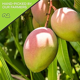 NUT CRAVINGS - Dried Mango Slices, Lightly Sweetened (16oz, 1 LB) Packed Fresh in Resealable Bag - Sweet Healthy Snack, Naturally Grown, Vegan, Kosher