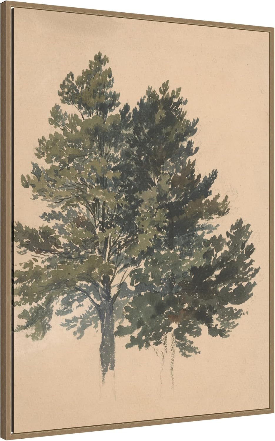 Kate and Laurel Framed Canvas Wall Art Print Study of a Treetop Friedrich Carl von Scheidlin by Nostalgia Prints, 28 x 38 Sylvie Dark Gold Frame, Traditional, Nature Art for Wall Decor