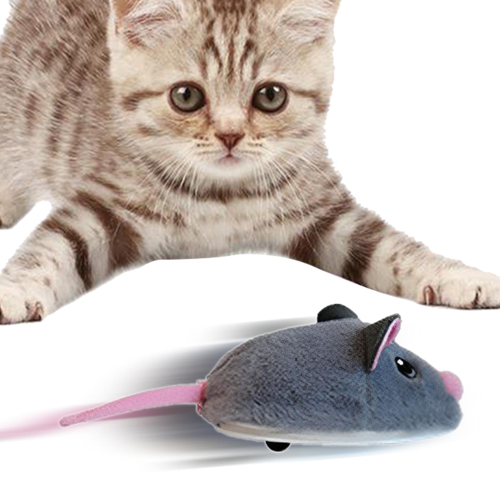 Lot de 5 souris électriques interactives pour chats d'intérieur Gris