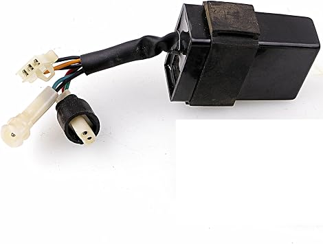 CDI Unit For BS250 JS250 LX250 ATV250-F ATV 306000-0040010