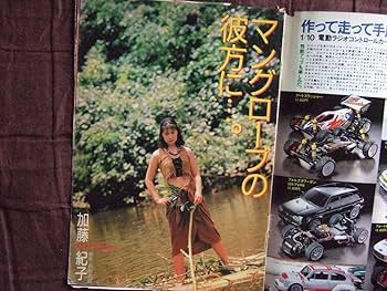 Amazon.co.jp: 加藤紀子 ヤングジャンプ1995年No.44切り抜き