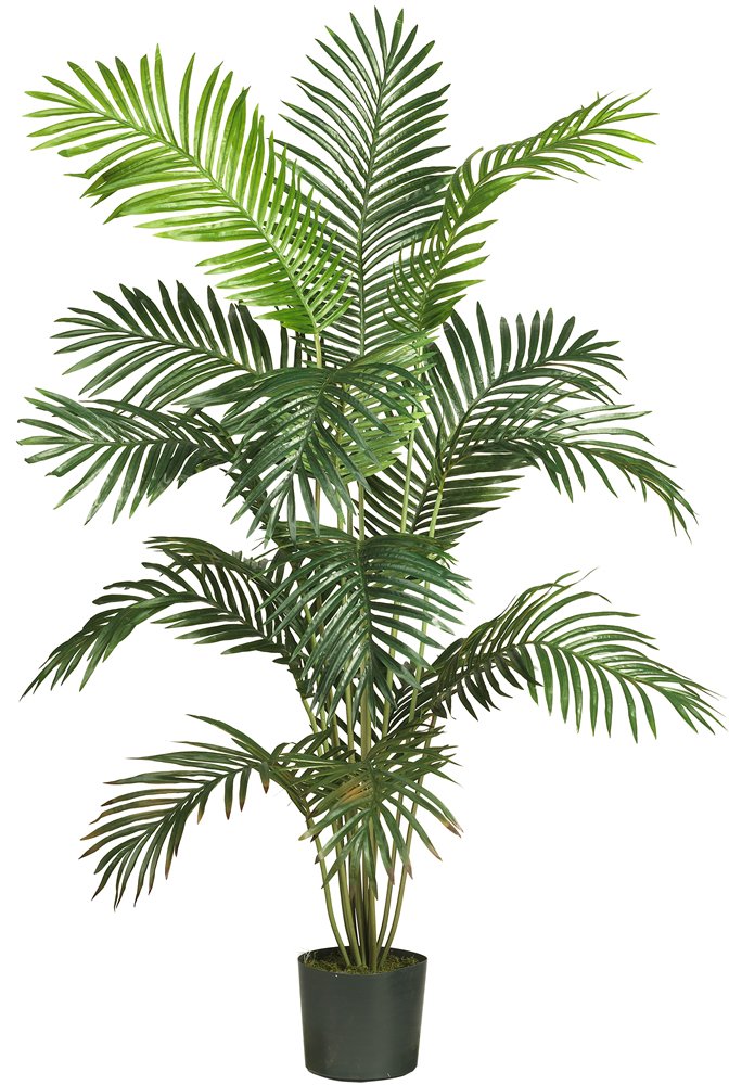 Nearly Natural5260 Paradise Artificial Palm Tree, 5.5-Feet, Green,72" x 9" x 9"