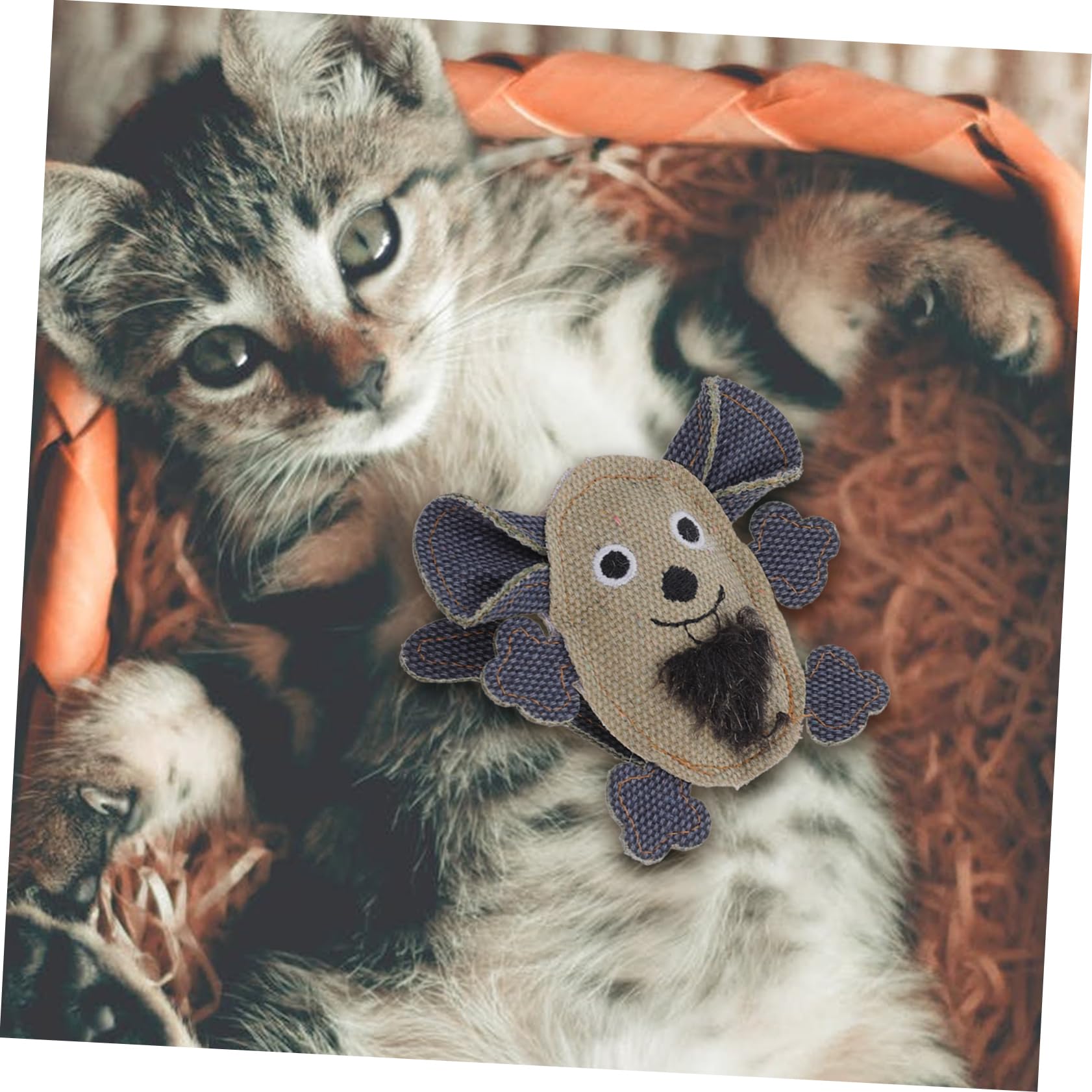 VANZACK 10pièces Jouets pour Chats De Souris à Jouer avec Herbe à Chat Accessoires Interactifs pour Animaux De Compagnie