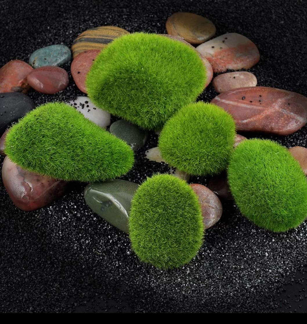 Bloom Bagicha Polyresin Moss Balls, Multicolour, Set of 10 (B081LKJLK7) Amazon Price History, Amazon Price Tracker