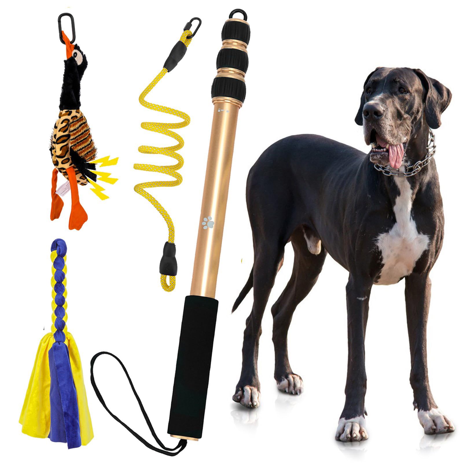 Teaser per cani espandibile in lega di alluminio resistente, facile da riporre, portatile e multifunzionale ovunque
