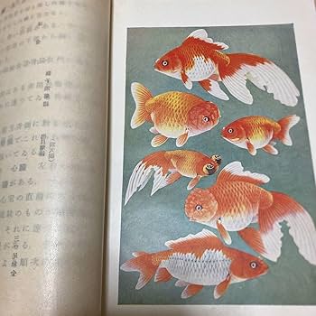 中学理科要解 古書 中学理科要解 古書