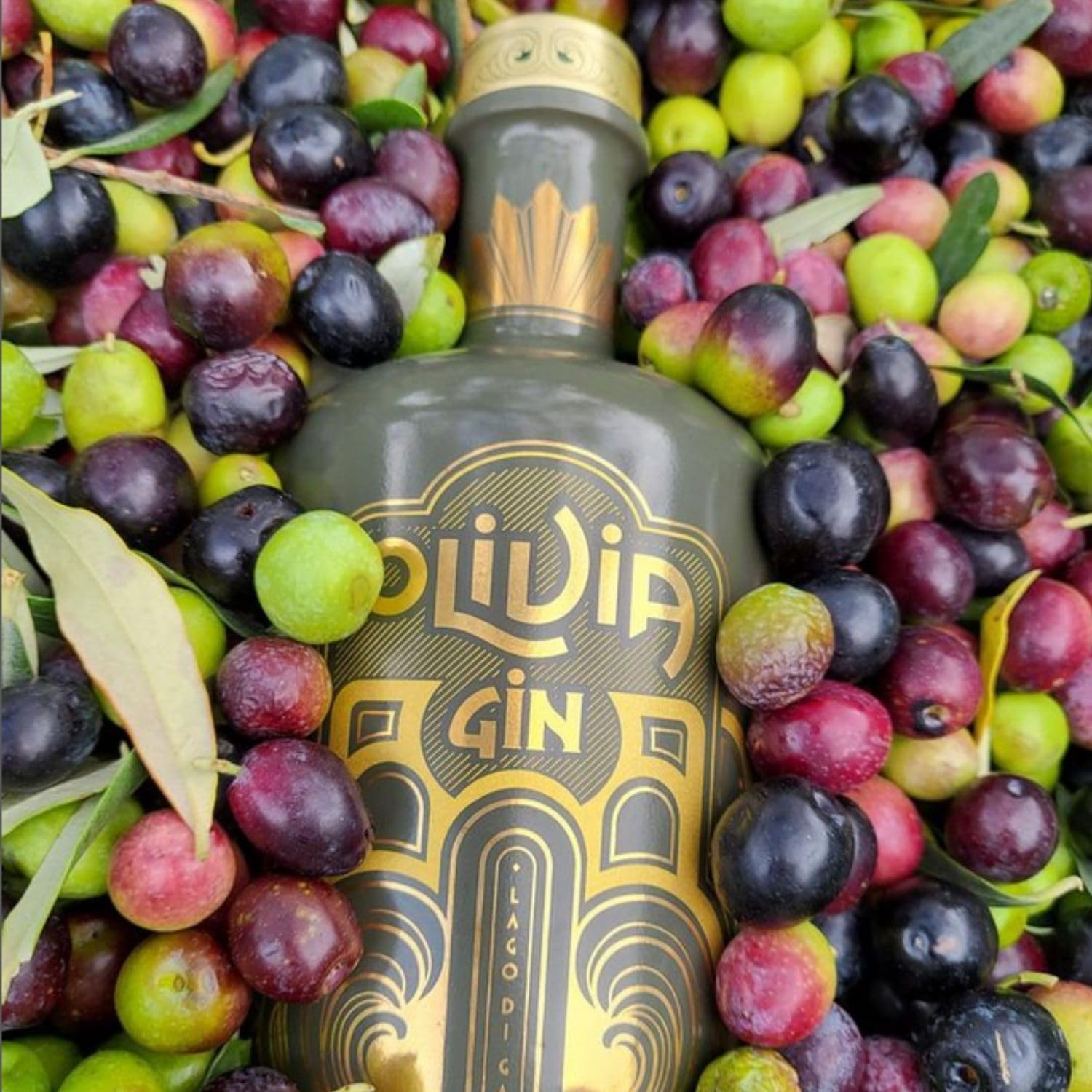 Gin - Olivia Lago di Garda – Premium 700ml da Distillazione Foglie e Corteccia di Olivo e Polpa di Olive – 42% Vol – Made in Italy – Prodotto Artigianale – Gin Tonic