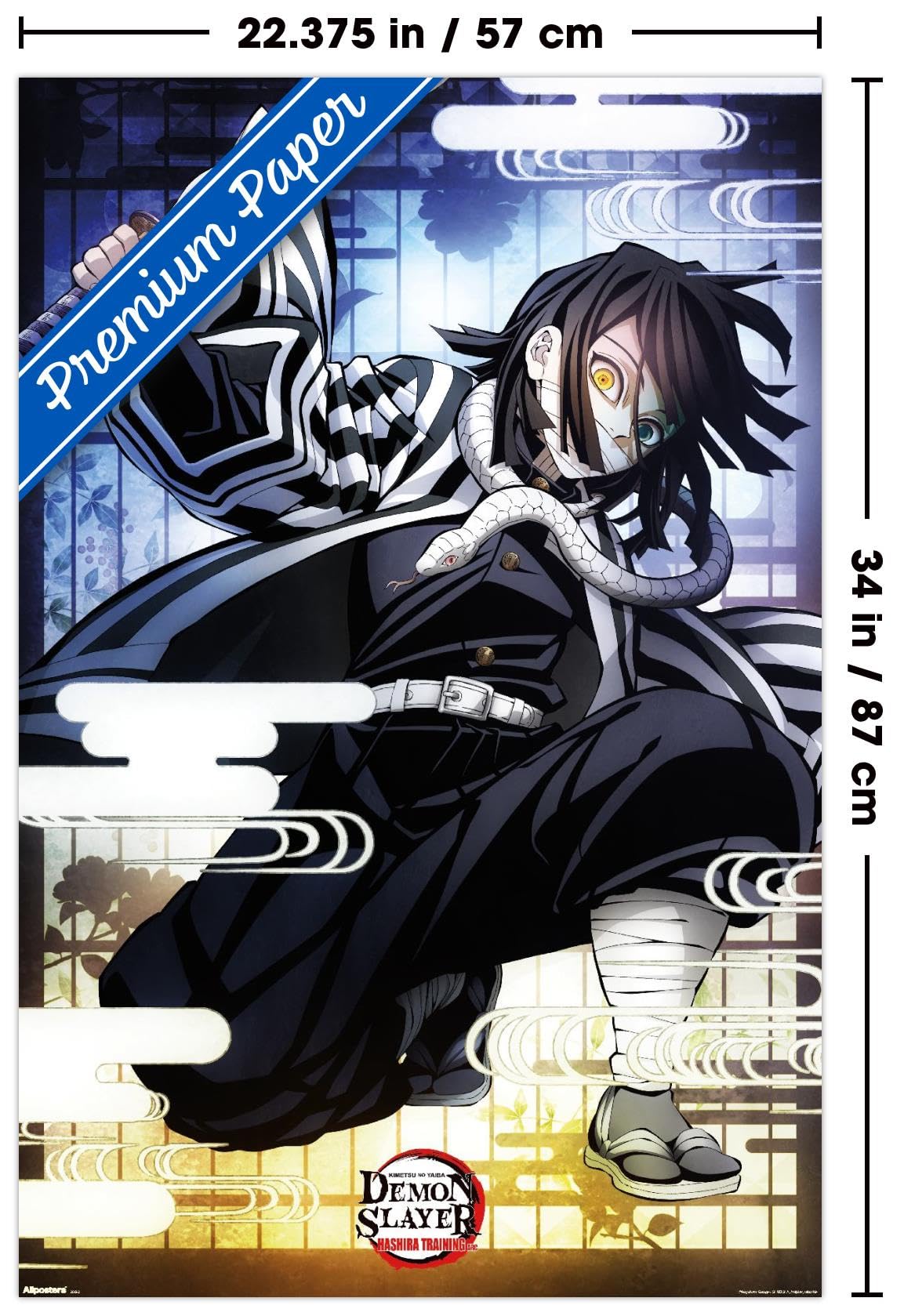 Amazon.com: Trends International Demon Slayer: Hashira Training