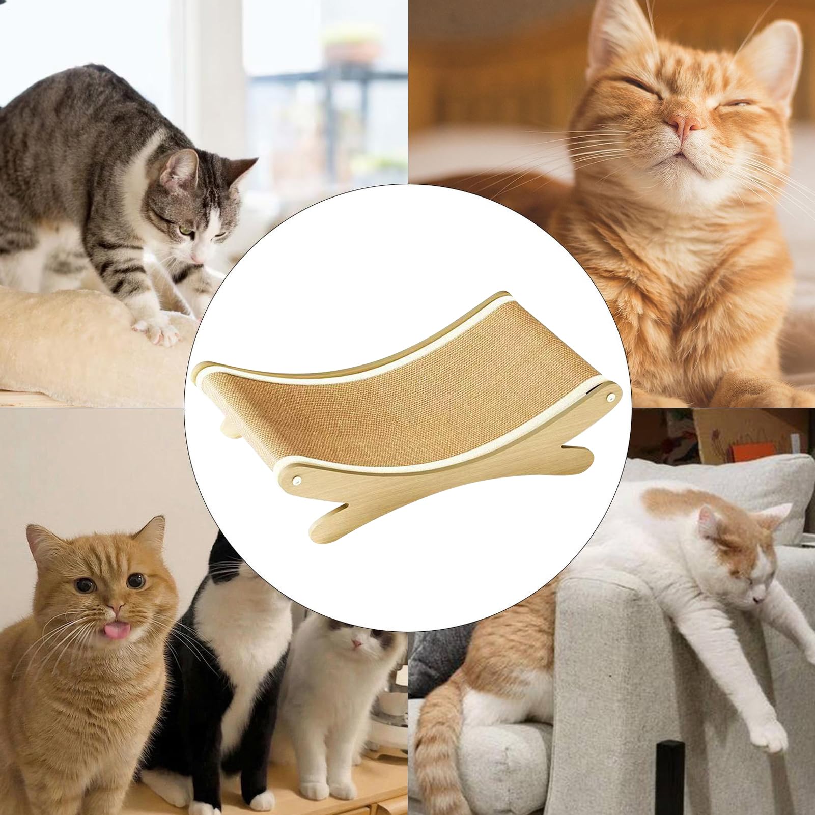 View 5
