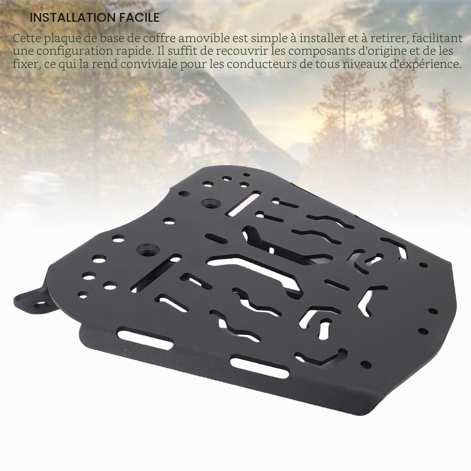 Ausla Plaque de Base de Coffre Arrière pour Moto, Plaque de Montage pour Top Case Arrière en Acier Carbone, Support de Base pour Porte-Bagages pour ZONTES 368G 501G