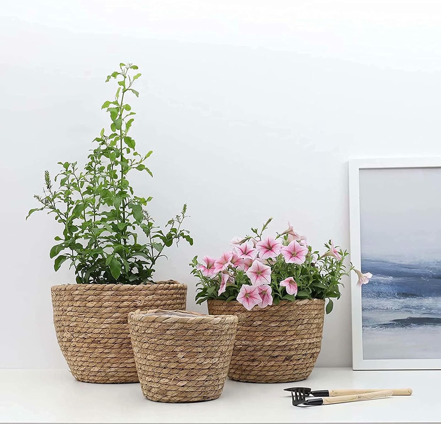 Seagrass Planter Basket 3 Set Handmade Woven Basket Indoor Outdoor Storage Basket Flower Pot Container with Waterproof Plastic Liner for Houseplants Succulents Orchid Modern Home Decor Brown