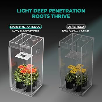 Amazon.com : MARS HYDRO TS1000 150W LED Grow Light for Indoor Amazon.com : MARS HYDRO TS1000 150W LED Grow Light for Indoor