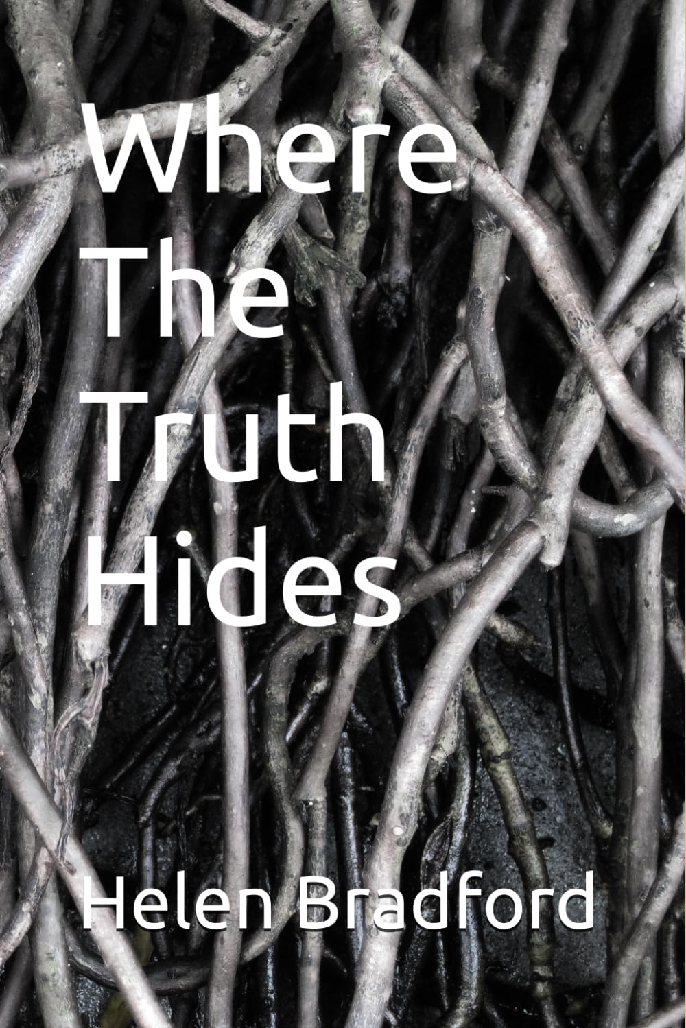Where The Truth Hides
