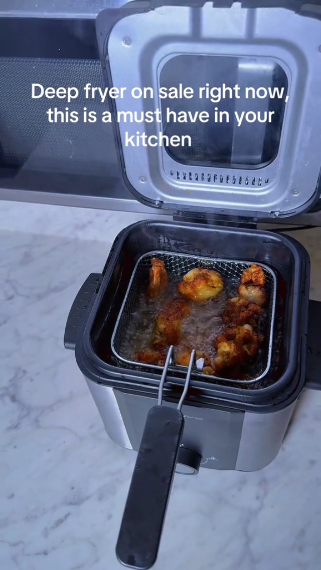 Amazon.com: KEINVE Electric Deep Fryer, 1.5 Liters 1000W Oil Fryer
