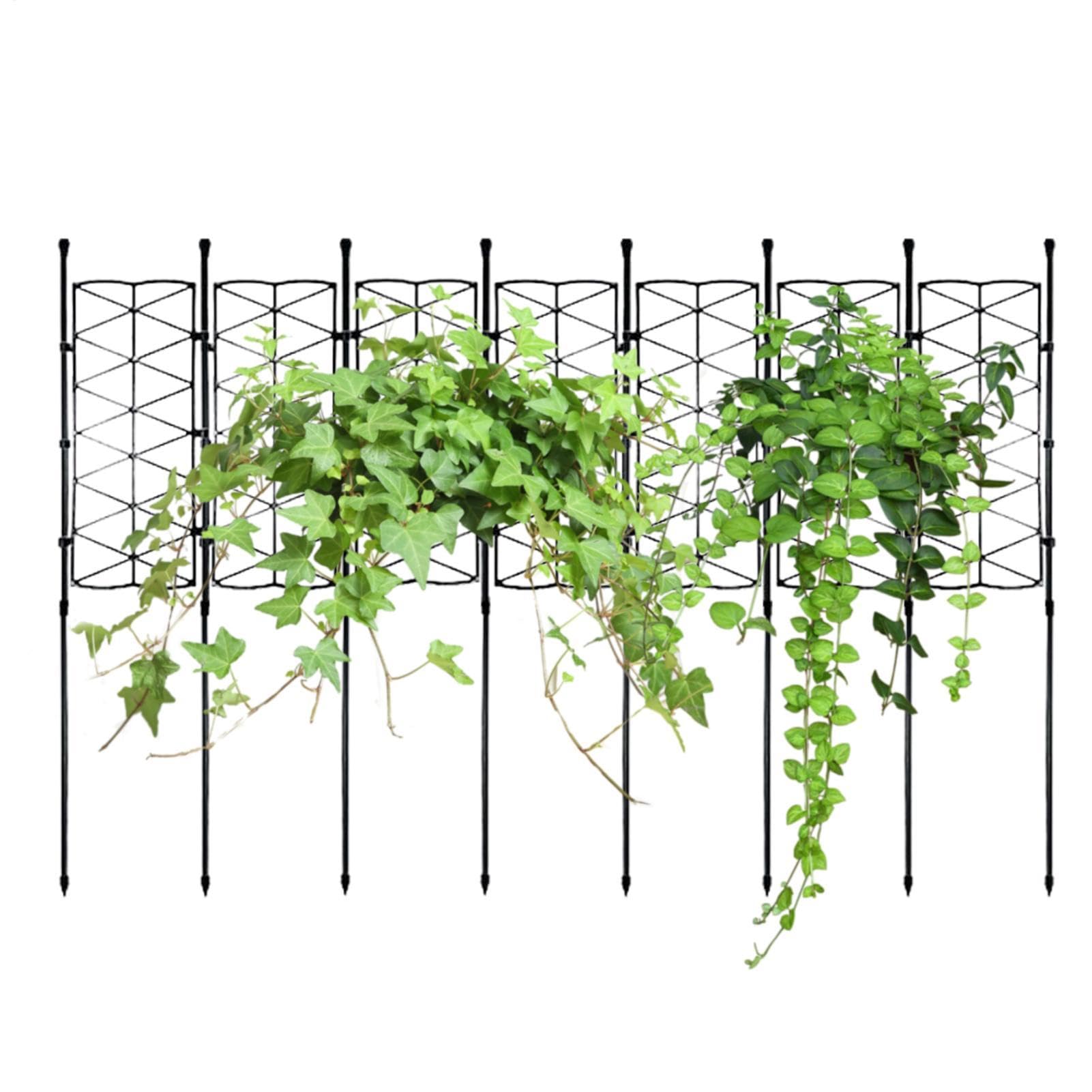 Enrejado de plantas para Monstera que evita la caída de ramas de Tomates y Rosas