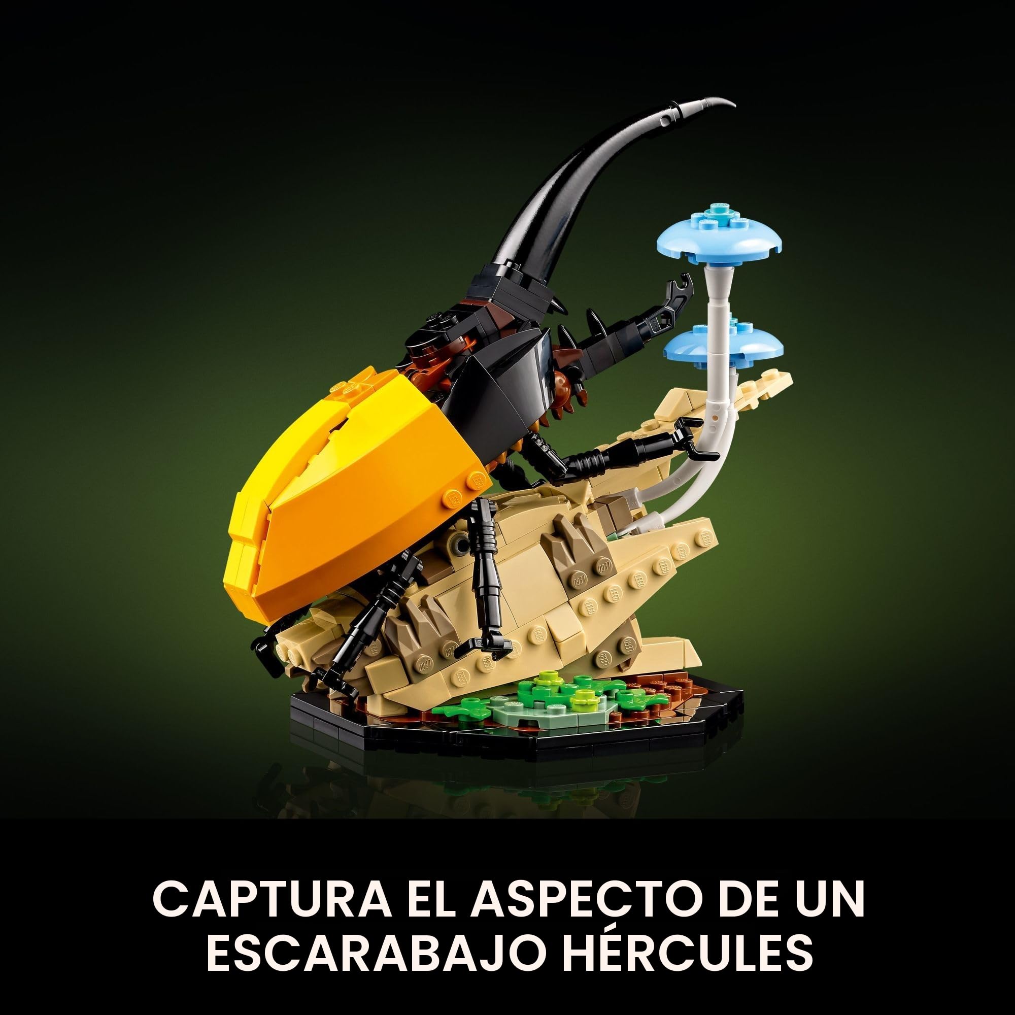 Lego Ideas The Insect Collection, Regalo Divertido para los Amantes de la Naturaleza, con Mariposa morfo Azul de tamaño Real, Modelos de exhibición de Escarabajo Hércules y Mantis China, Juego de