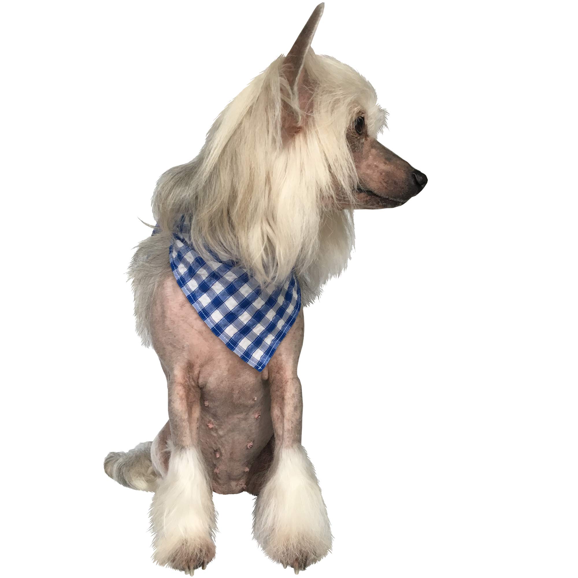 Adoggygo Hundehalstuch-Set – 4 Karierte Bandanas In Blau, Weiß, Grün, Rot, Mehreren Größen