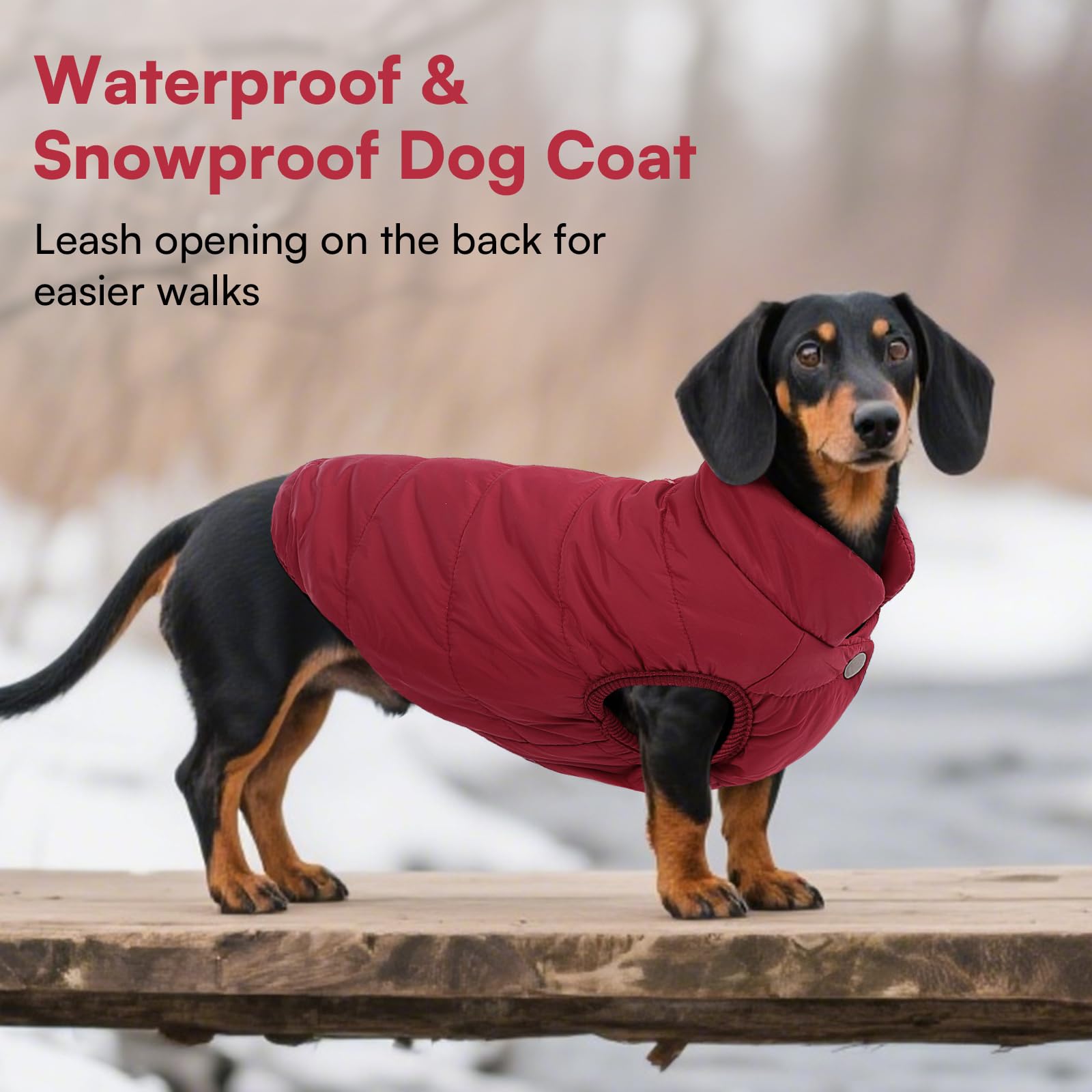 ASENKU Cappotto Cane Impermeabili Invernale, Cappottino Cane Calda Giacca per Cani Taglia Piccola Media Grande, Cappotto Gilet per Cani con Fodera in Lana Protegge Dal Freddo
