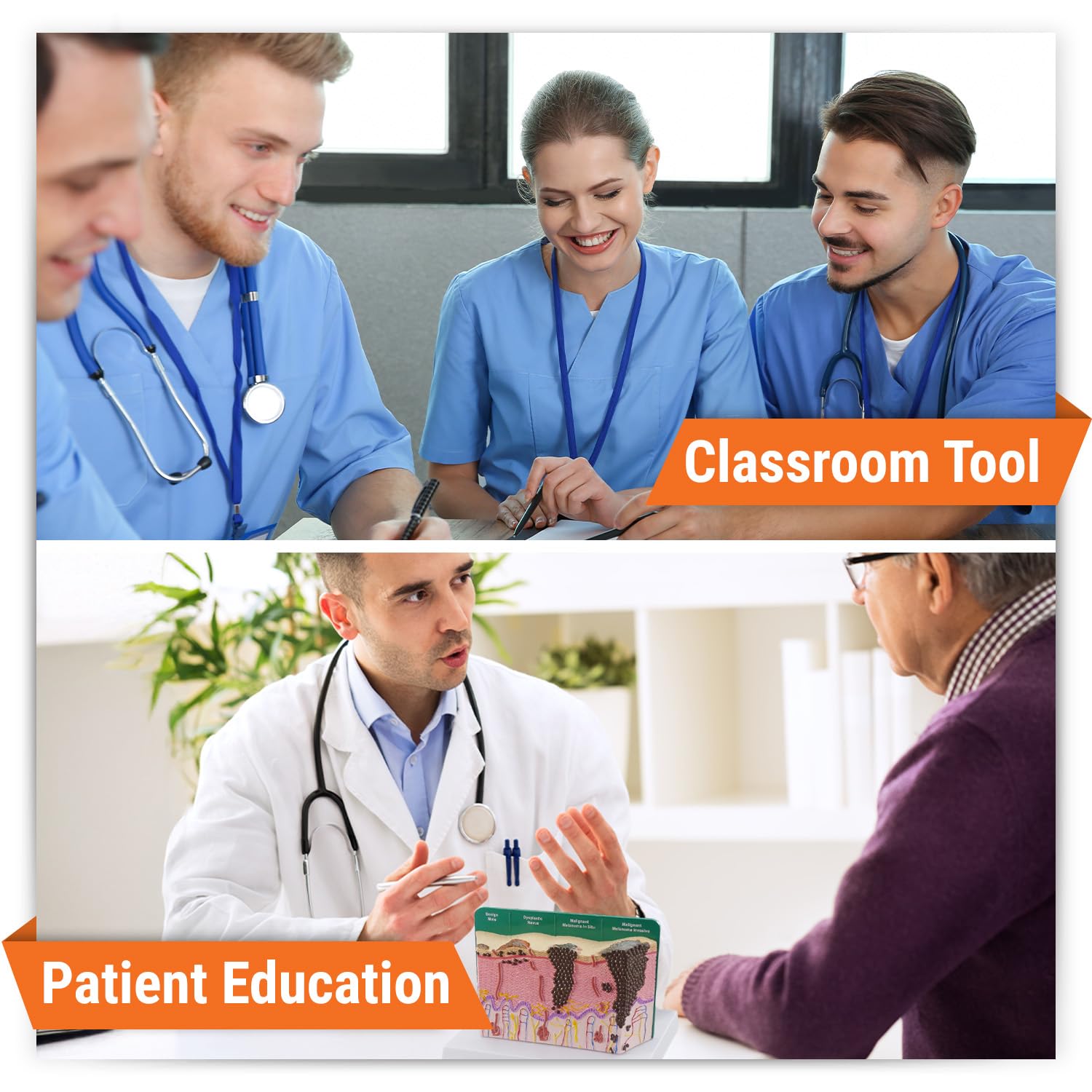 GPI Anatomicals - Skin Cancer Model, Skin Replica with Melanoma and Carcinoma for Human Anatomy and Physiology Education, Anatomy Model for Doctor's Offices and Classrooms, Medical Learning Resources