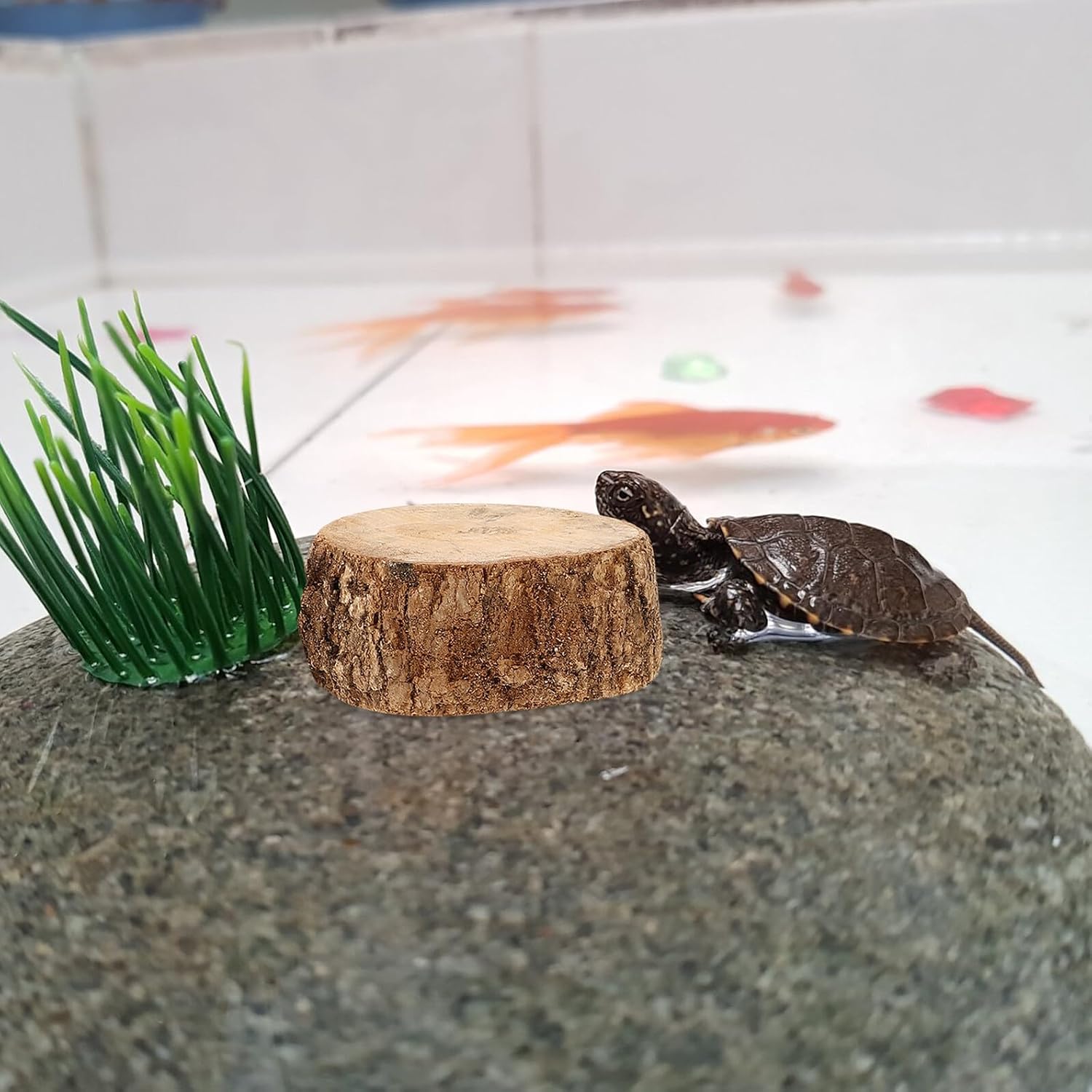 Toddmomy Large Turtle Basking Platform with Longan Wood 5x10cm Stump Turtle Dock for Aquarium with 80 Dried Leaves