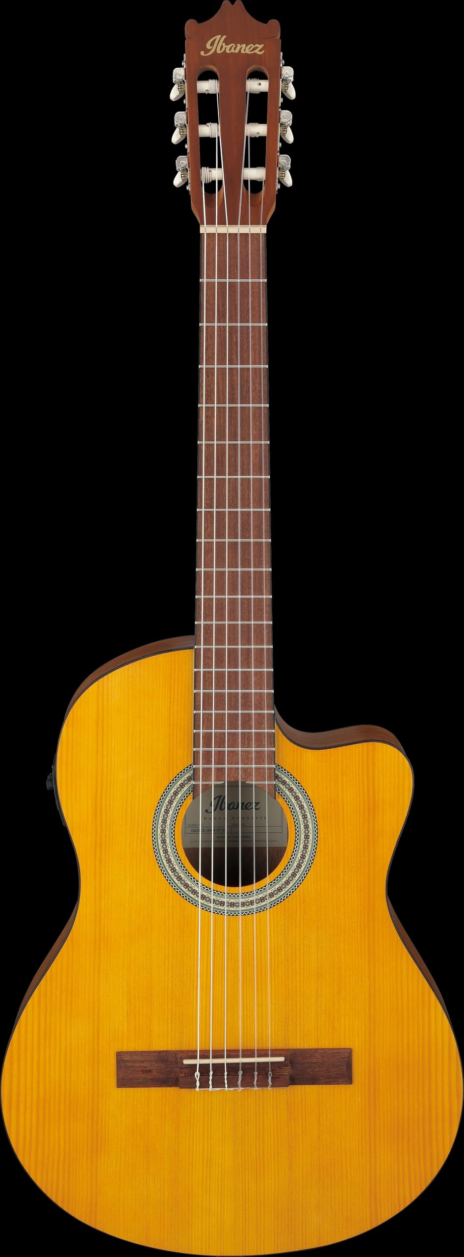 Ibanez Acoustic Gitarre / GA3ECEOAM Standard