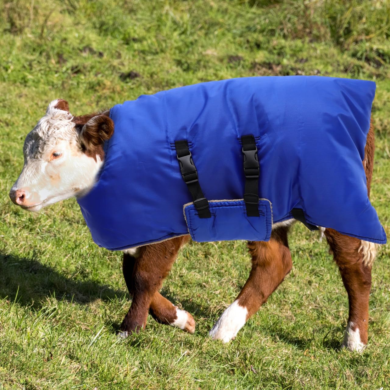 VILLCASE Calf Warm Coat Goat Blankets for Winter Cow Clothes Calf Warming Blanket Cow Warming Thickened Belly Protection Farm Animal Winter Coat, Random Style