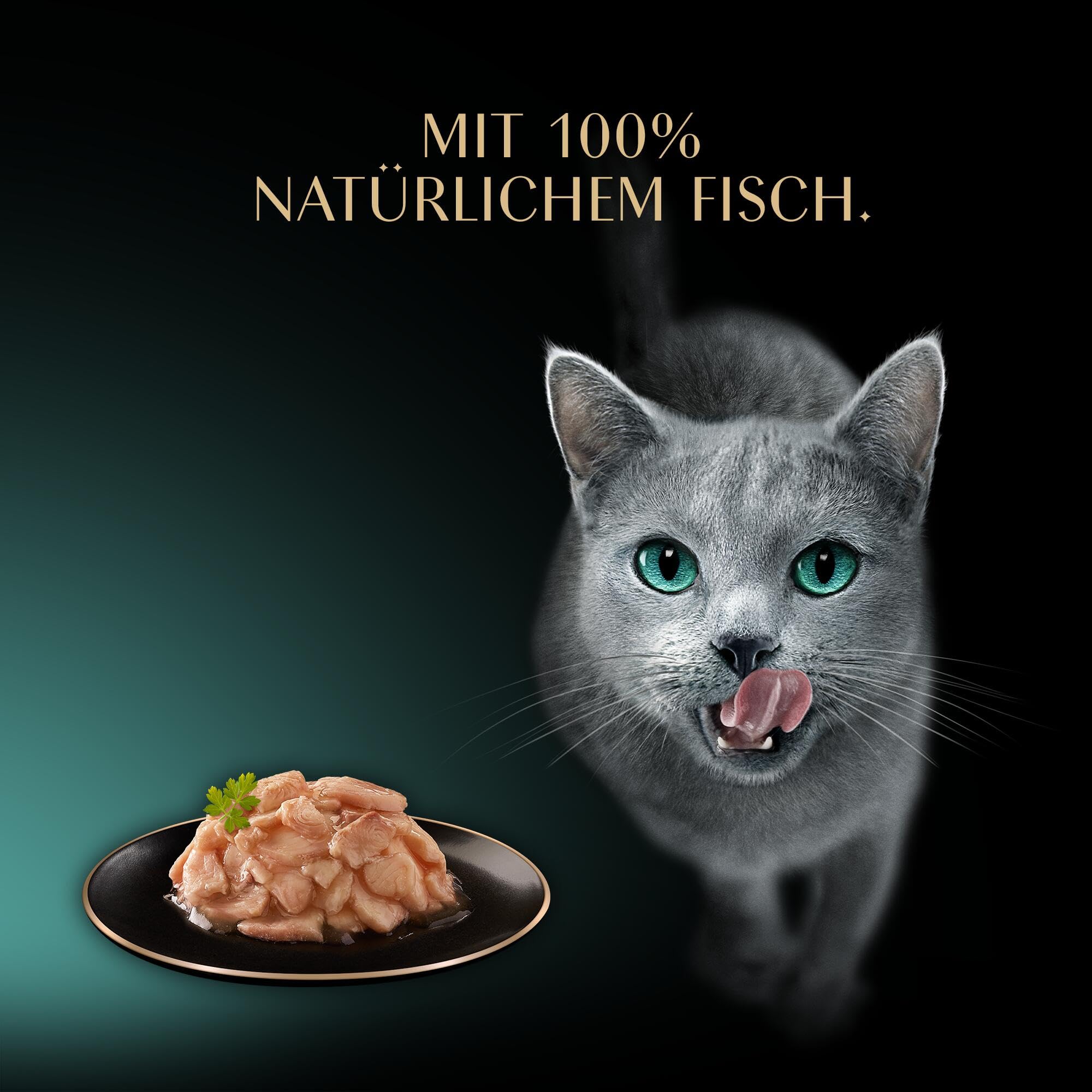Sheba Filets Adult Katzenfutter in Sauce mit Huhn, Meeresfisch & Garnele, Lachs & Thunfisch 36 x 60 g Schale