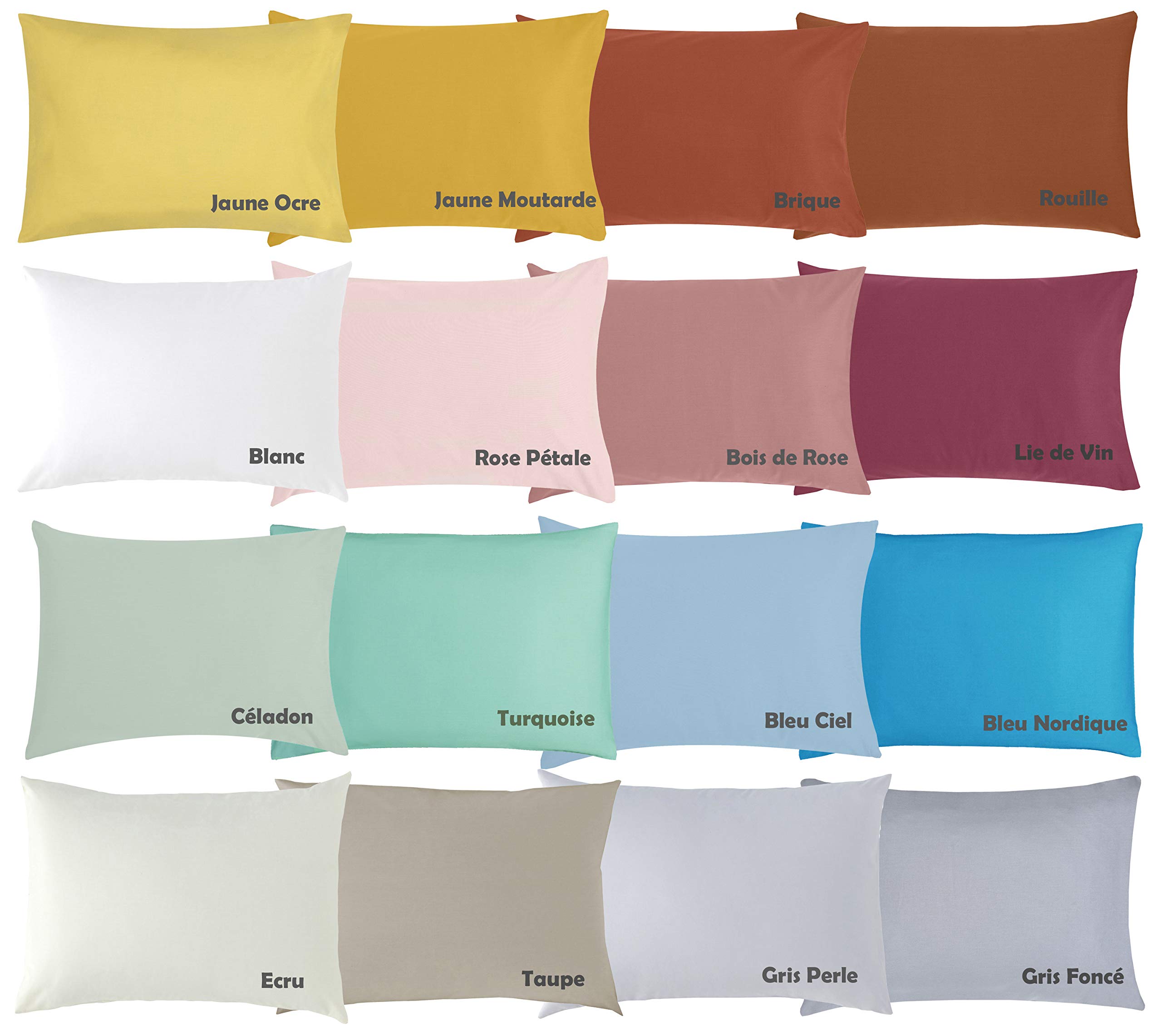 P'Tit Basile - Set x2 Federe Cuscino - 40x60 cm Cotone Superiore, 57 Fili / 2cm, Puntino per Dolcezza - Colori Disponibili - Turchese, 40x60 cm