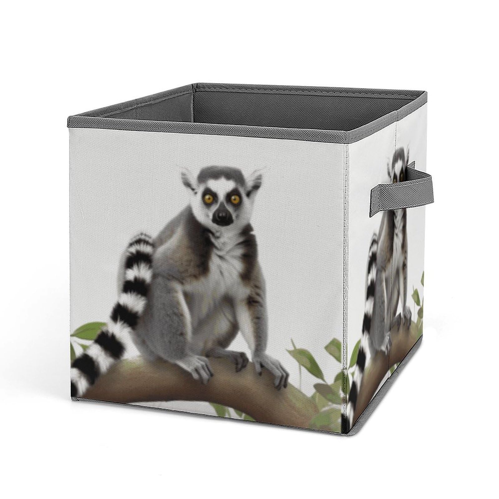 Cubes de rangement pliables lémurien pour optimiser le placard de la chambre