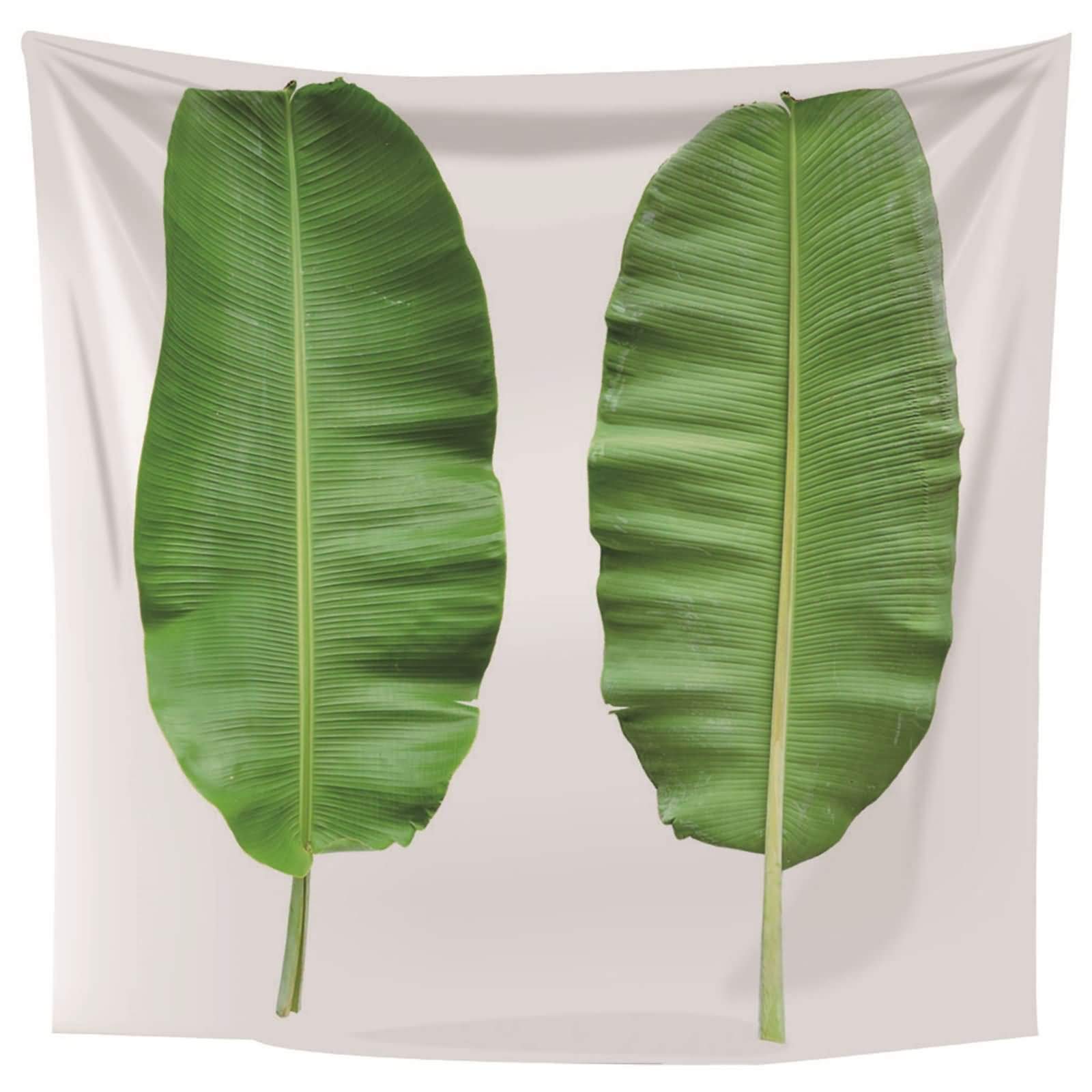 Toile imprimée feuille de bananier au design blanc minimaliste pour habillage mural de salon chic