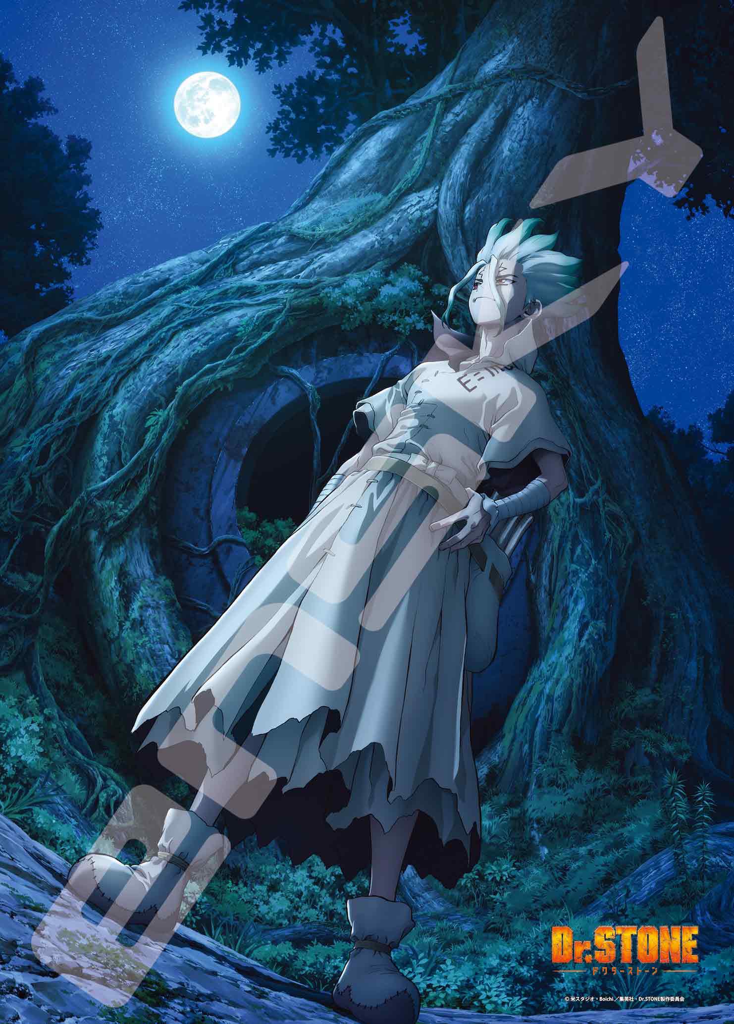 Amazon | エンスカイ(ENSKY) ジグソーパズル Dr.STONE NEW WORLD 500