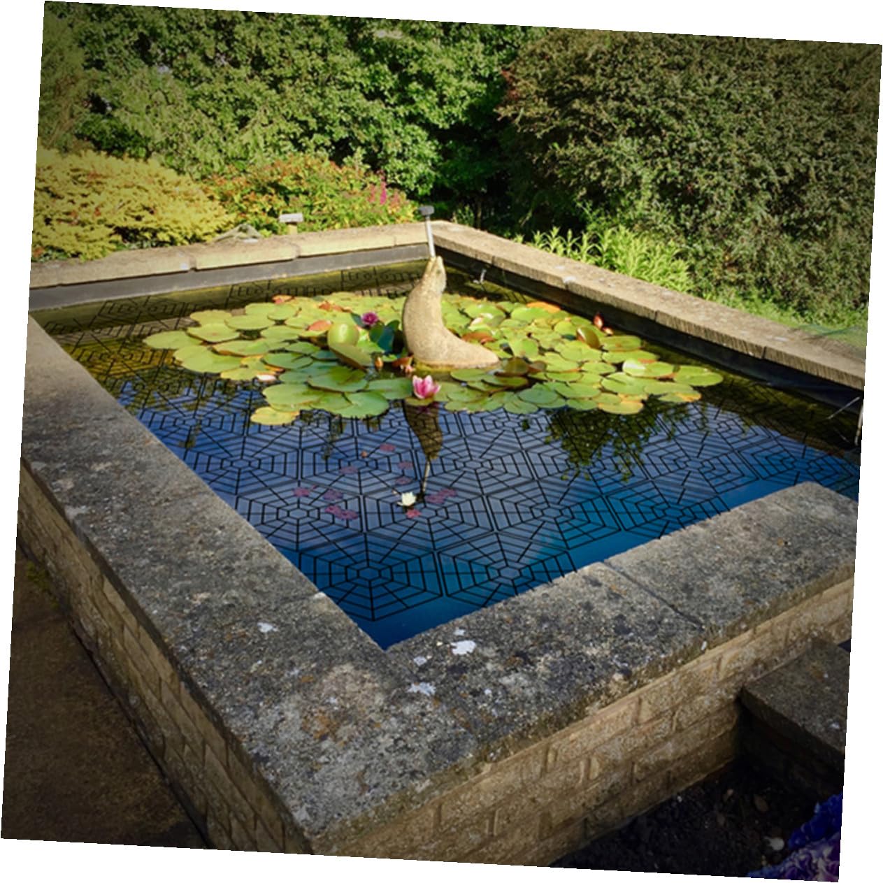 Gatuida Red Protectora de Peces de Plástico PP para Estanques al Aire Libre, 20 Piezas Hexagonales Negras, Malla Resistente al Desgaste, Protección contra Aves y Depredadores, Red