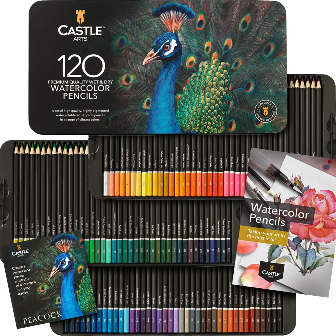 Castle Art Supplies Watercolor Colored Pencils 120-Piece Set | Vivid Pigments | Drawing and Coloring Simultaneously | For Adult Artists and Professionals | Comes in a Protective and Organized Tin Case
