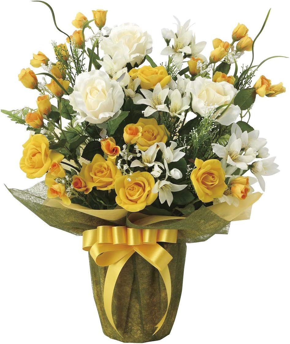 専用商品】 アジサイ オーダーアソート 8寸2鉢 紫陽花 専用商品