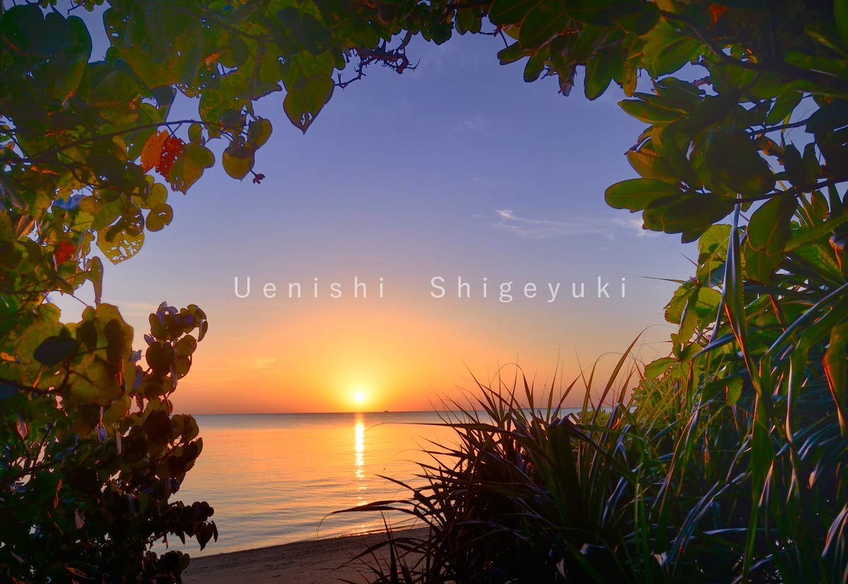 Amazon | 沖縄・宮古島 海の風景 暑中見舞い ポストカード（5枚