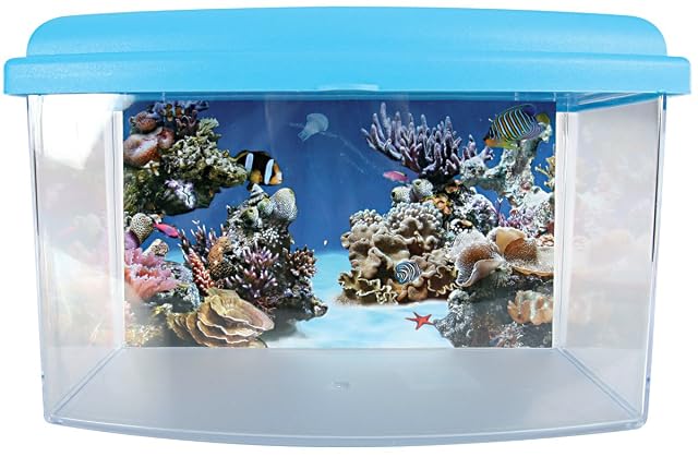 Foto 4 de 7 de Zolux Travelbox II Acuario para Transporte/habitación Infantil para acuariofilia 22 cm