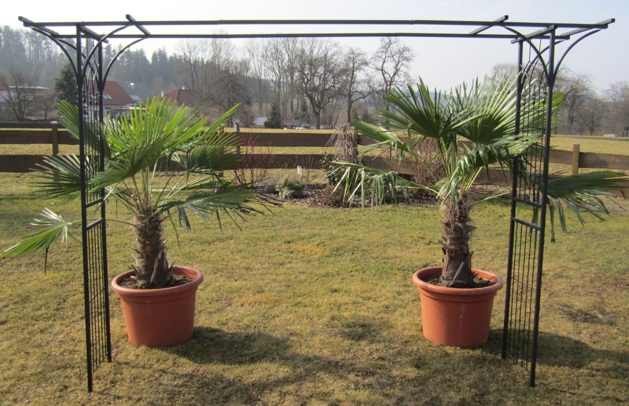 ALEOS. Eleganter XXL Rosenbogen Rankhilfe Pergola aus Metall schwarz Modell 5040