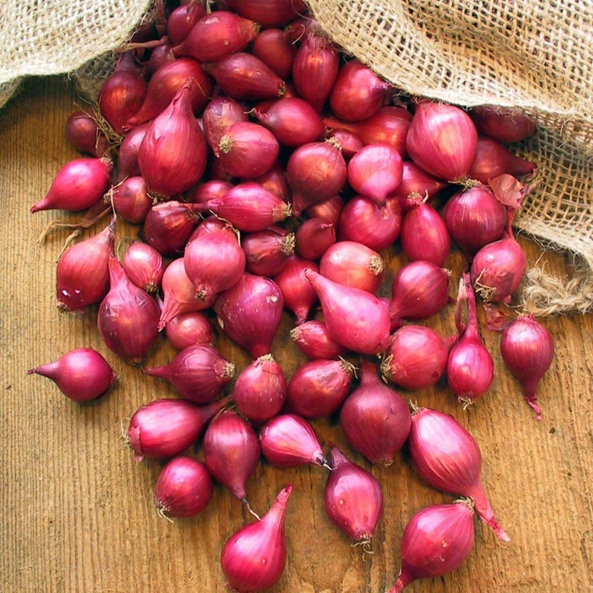 希少Onion Vase 検)Cabat Jouve Ruelland 希少Onion Vase 検)Cabat Jouve Ruelland
