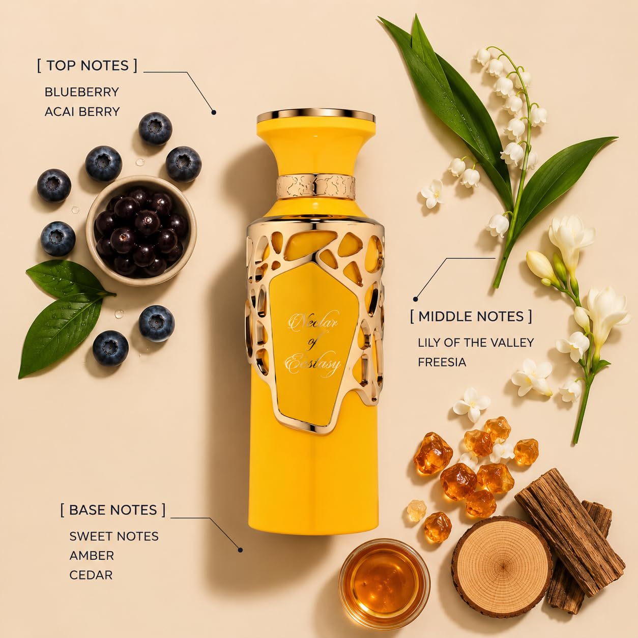 Amazon.com : Fragrance World Collection (Nectar Of Ecstacy