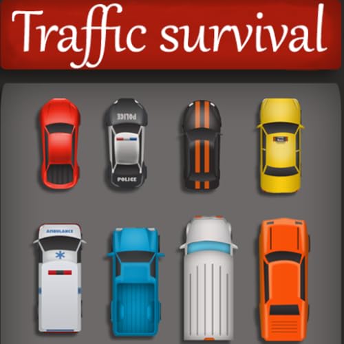 Traffic Survival