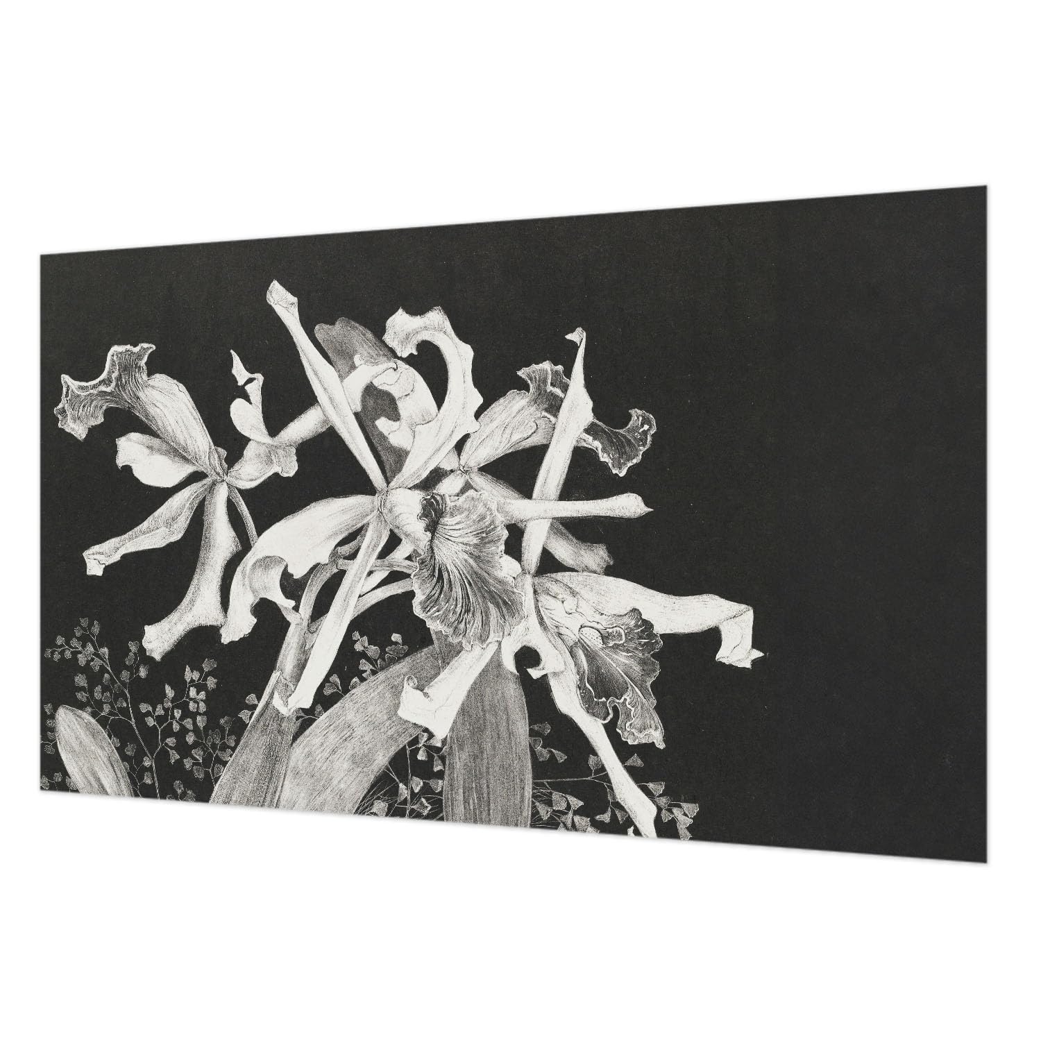 Revêtement mural intissé orchidée 416x254 cm pour salon