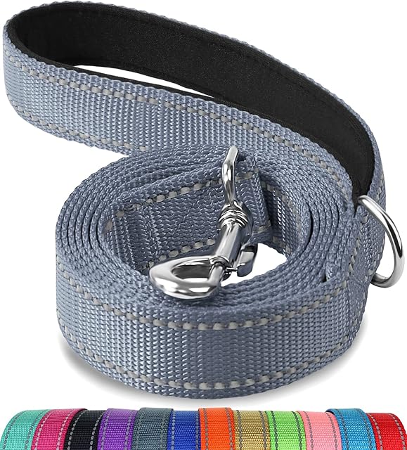 Joytale Padded Handle Dog Lead,Double-Sided Reflective Nylon Dogs Leads for Training,Walking Leash for Small, Medium Dogs, 1.8m × 2cm, Grey