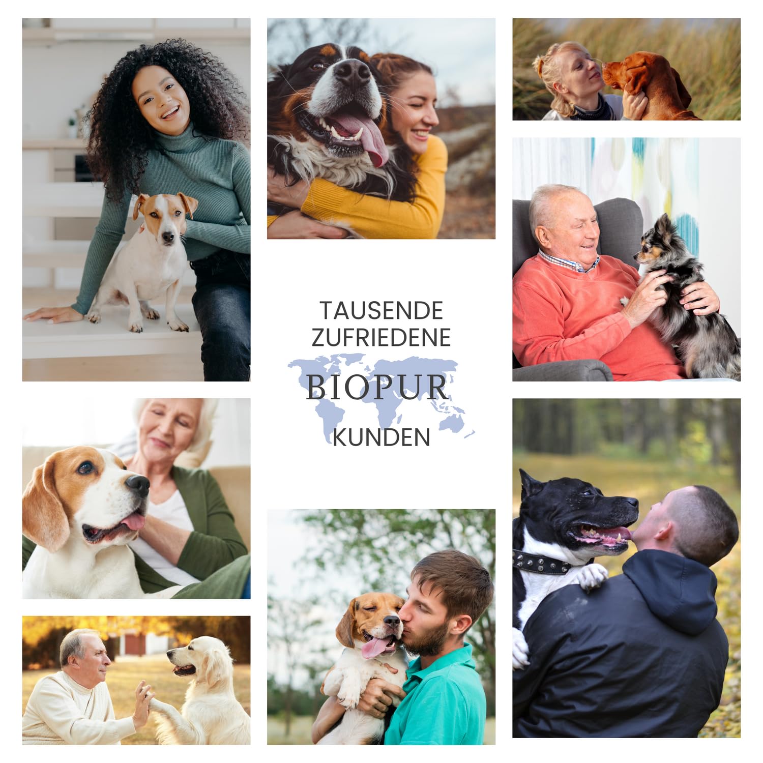 BIOPUR Premium Bio Hundefutter Rind, Nudeln & Karotten 12x400 g – Nassfutter in 100% Bio-Lebensmittelqualität für Hunde