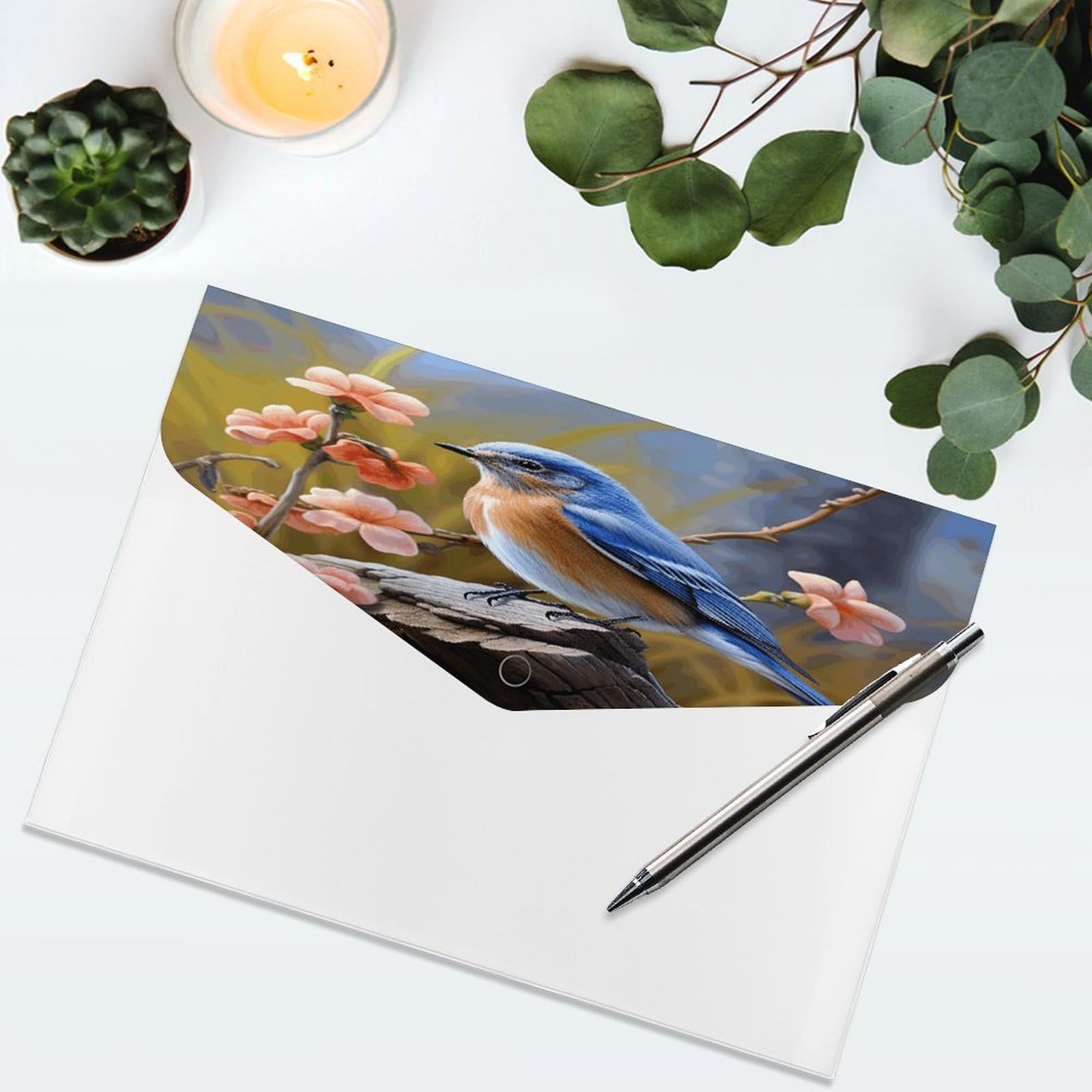 Amazon.com : Eastern Bluebird File Folder with Snap&6 Pockets